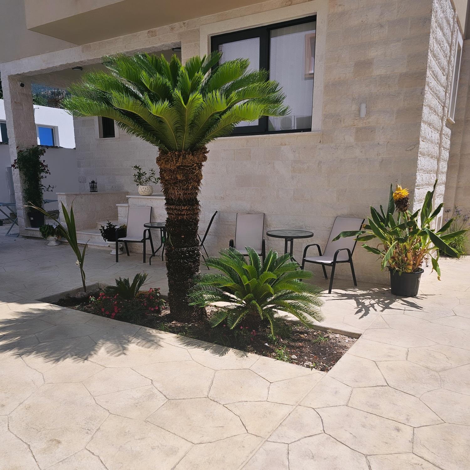 La Vida Apartments Budva Eksteriør billede